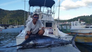 marlin bleu Deshaies fishing 2015